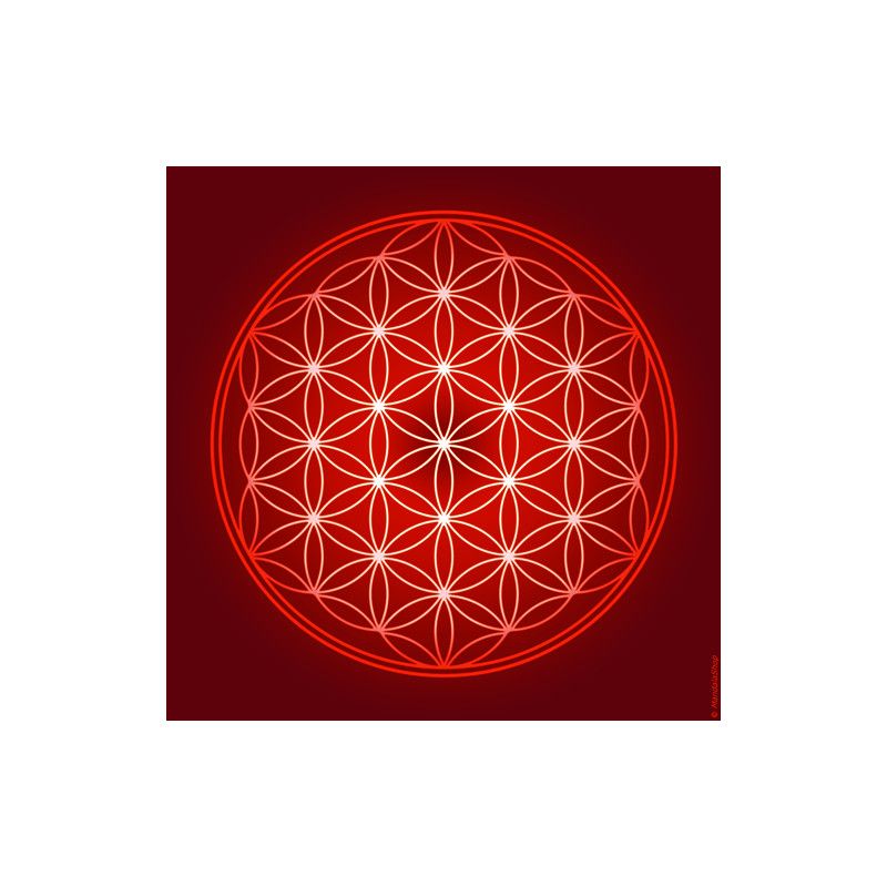Flower of Life canvas (7 colours at choice)