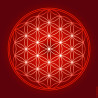 Flower of Life canvas (7 colours at choice)