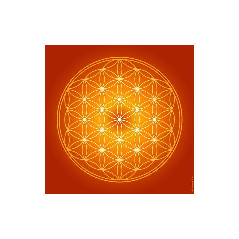 Quadro Fiore della Vita (7 colori tra cui scegliere)