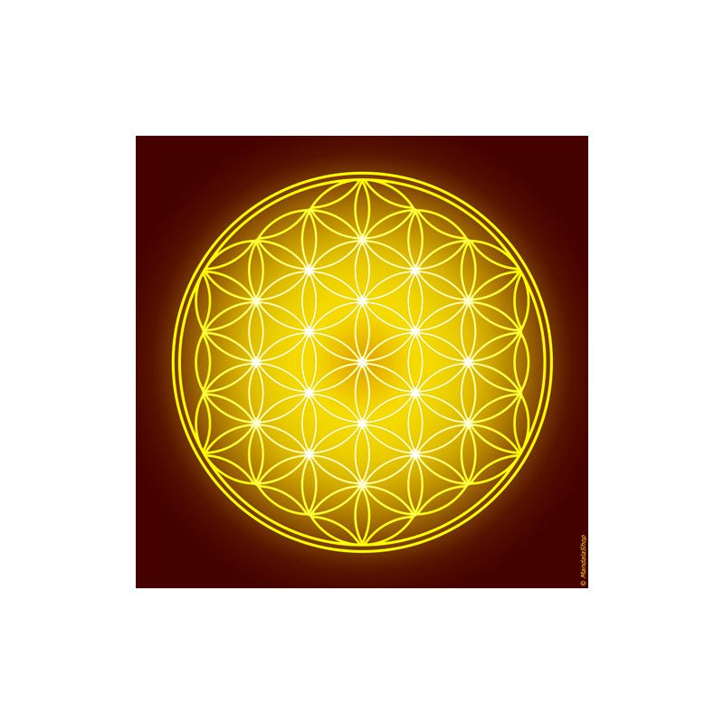 Quadro Fiore della Vita (7 colori tra cui scegliere)