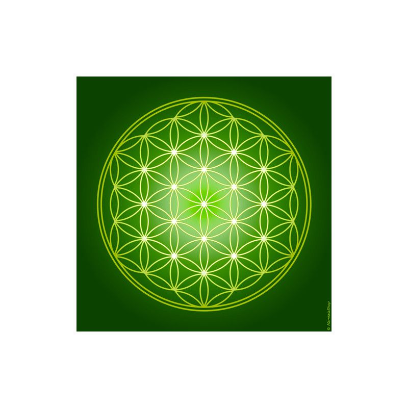Flower of Life canvas (7 colours at choice)
