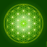 Flower of Life canvas (7 colours at choice)