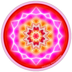 Disque harmonisant Mandala de l'Unification