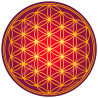 Harmonisierungsdisk Blume des Lebens Antik