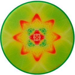 Round Energising Plate Mandala of Health