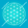 Turquoise Flower of Life canvas