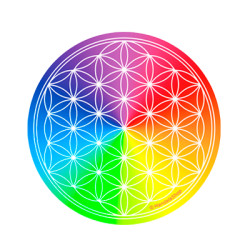 Round magnet 7 ray Flower of Life