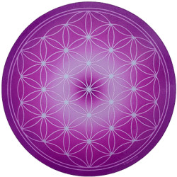 Placa energizante redonda Fleur de Vie violette