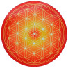 Piastra energizzante rotonda Fiore della Vita arancione