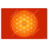 Harmonisierender Teppich Blume des Lebens orange