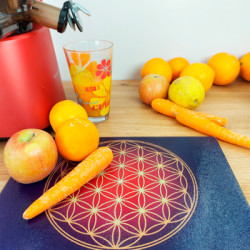 Energieplatte Blume des Lebens antik