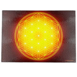 Energieplatte Blume des Lebens (7 Farben zur Auswahl)