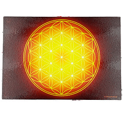 Flower of Life Energising Plate (7 colours at choice)