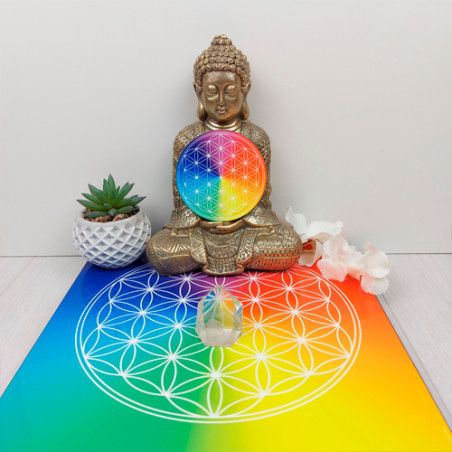 Vassoio energizzante Fiore della Vita 7 raggi