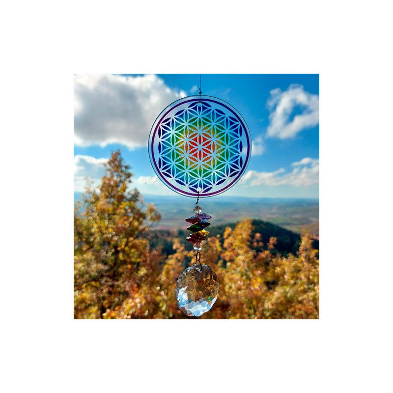 Sonnenfänger Blume des Lebens aus Glas