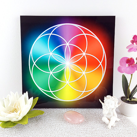 Plateau dynamisant Graine de Vie multicolore