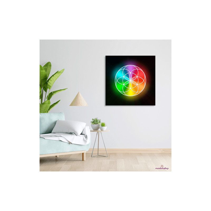 Multicolored Seed of Life canvas