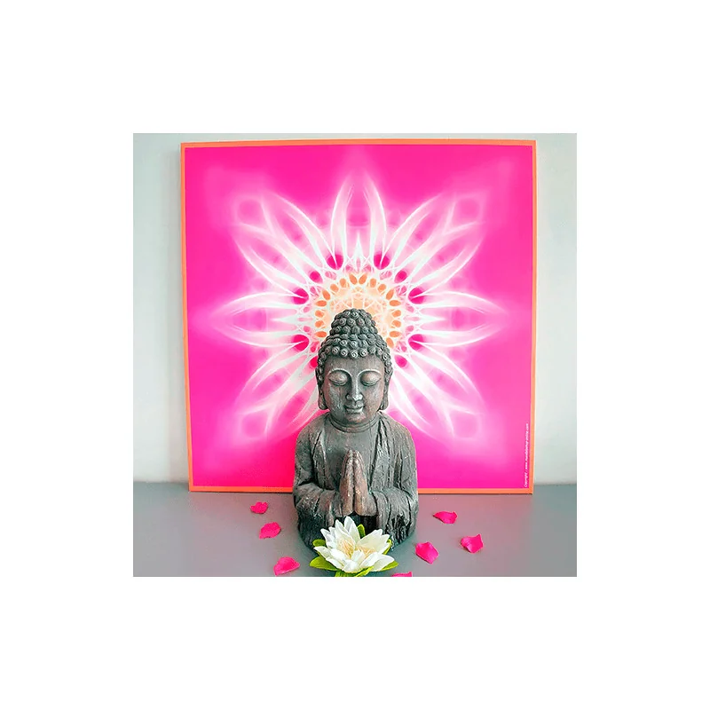 Mandala canvas (choose from our catalogue)