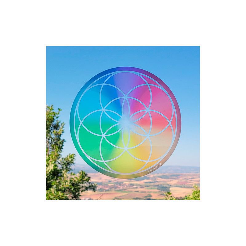 Sticker vitres repositionnable Graine de Vie