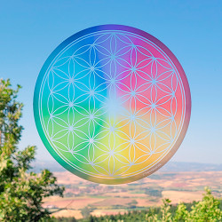 Abziehbarer Fenstersticker Blume des Lebens