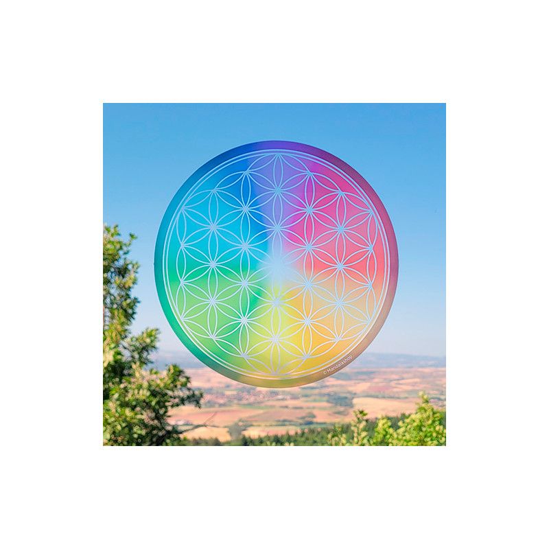 Fensteraufkleber Blume des Lebens