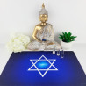 Harmonisierender Teppich Salomon Siegel Indigo