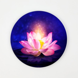 Magnet soft touch Fleur de Lotus flottante
