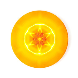 Magnet Liebe und Bewusstsein