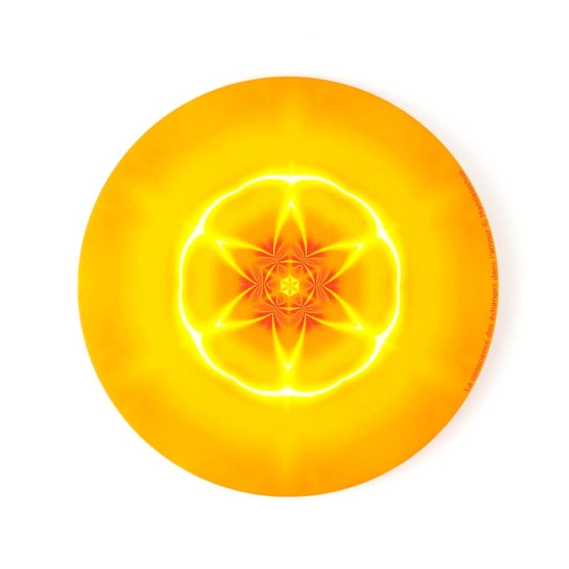 Magnet Liebe und Bewusstsein