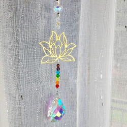 Sonnenfänger Lotusblume