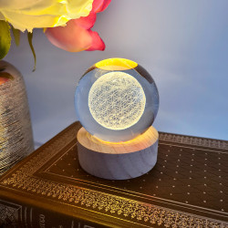 Stimmungsleuchte Blume des...