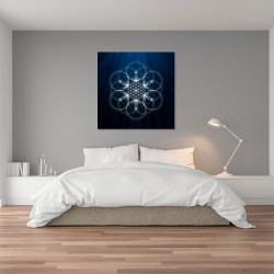 Bild Blume des Lebens Nymphaea