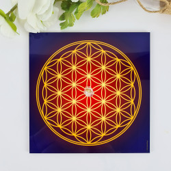 Antique Flower of Life energising tray