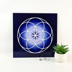 Indigo Seed of Life energising tray