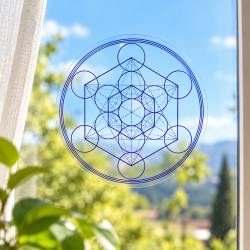 Vinilo para ventana...