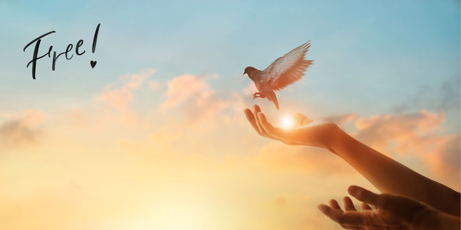 Open hand releasing a bird into the sunset, symbolizing freedom, letting go, and inner transformation.