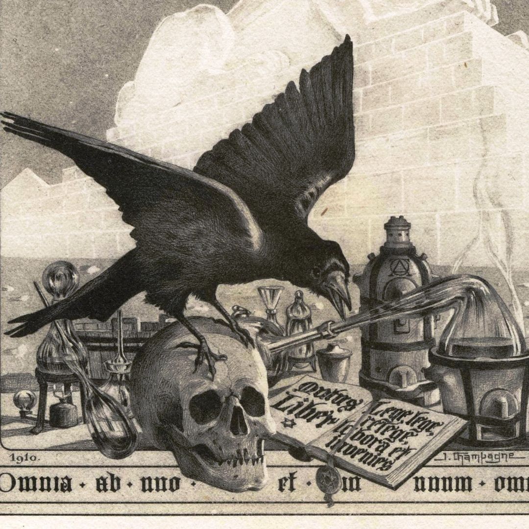 Corbeau et crâne symbolisant la phase Nigredo en alchimie spirituelle, étape de purification et de mort symbolique