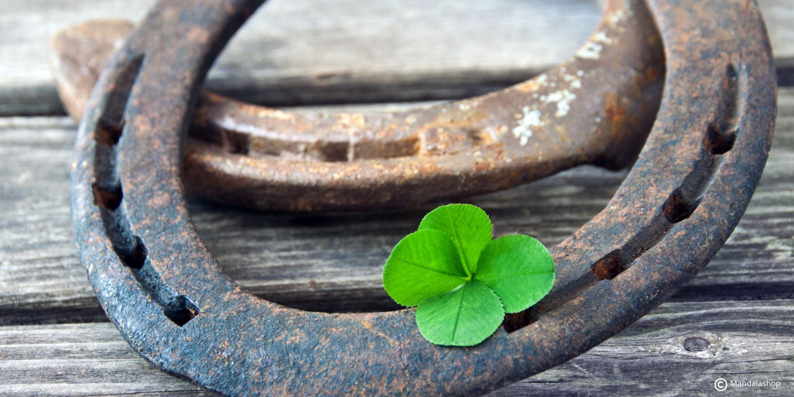 Antique horseshoe with four-leaf clover on rustic wood, traditional symbol of good luck