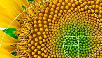 The hidden mysteries of sacred geometry in nature