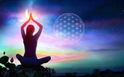 Flower of Life: which colour to choose?