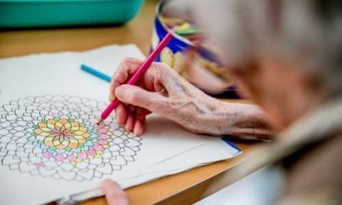 Coloring mandala - Discover the best anti-stress activity
