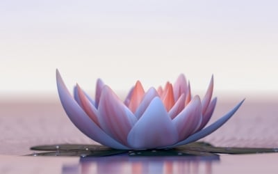 Fiore di loto: conoscete il (vero) significato di questo simbolo?