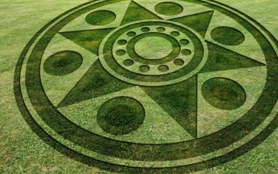 The enigma of crop circles